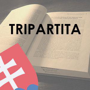 Ktoré vysvetlenie slova je pravdivé?