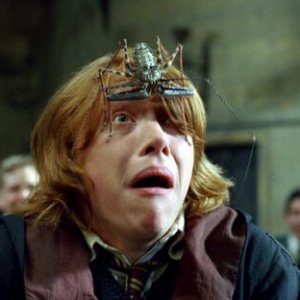 Koľko z neodpustiteľných klatieb Harry vyslal na iných ľudí?