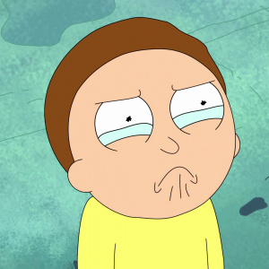 Koľko rokov má Morty?