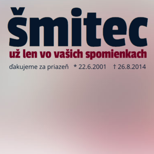 Ako sa volal prvý slovenský webový magazín venovaný slovenskému rapu?