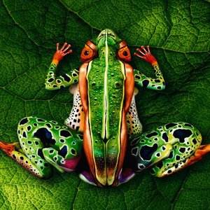 Bodypainting umelca Johannesa Stöttera. Koľko ľudí vidíš na obrázku?